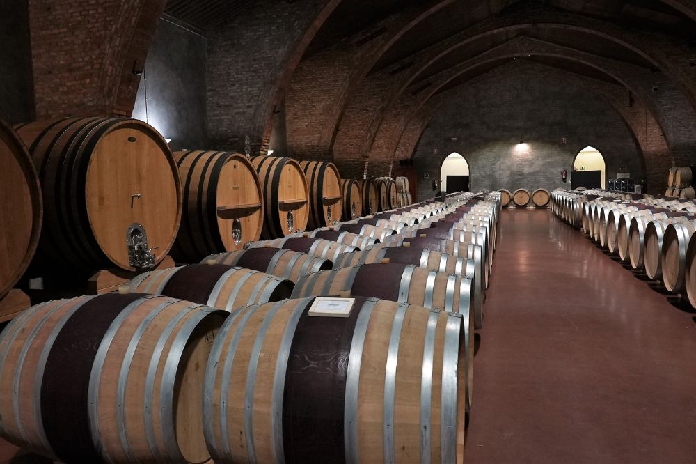 rutas del Vino España